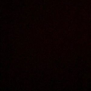 Meet your Posher, Jamillia